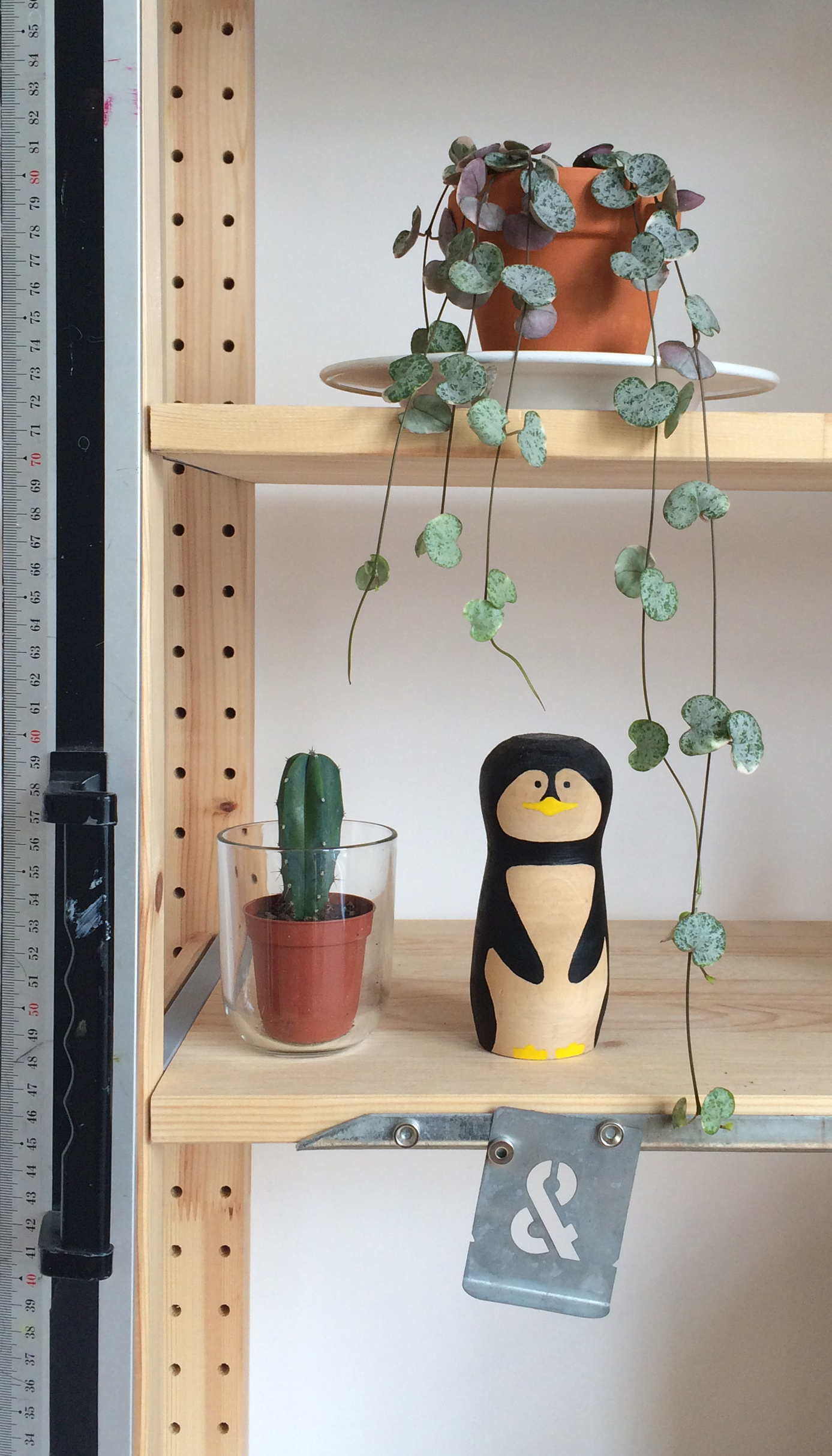 Two plants, a ruler, an ampersand stencil, and a penguin figurine on a shelf