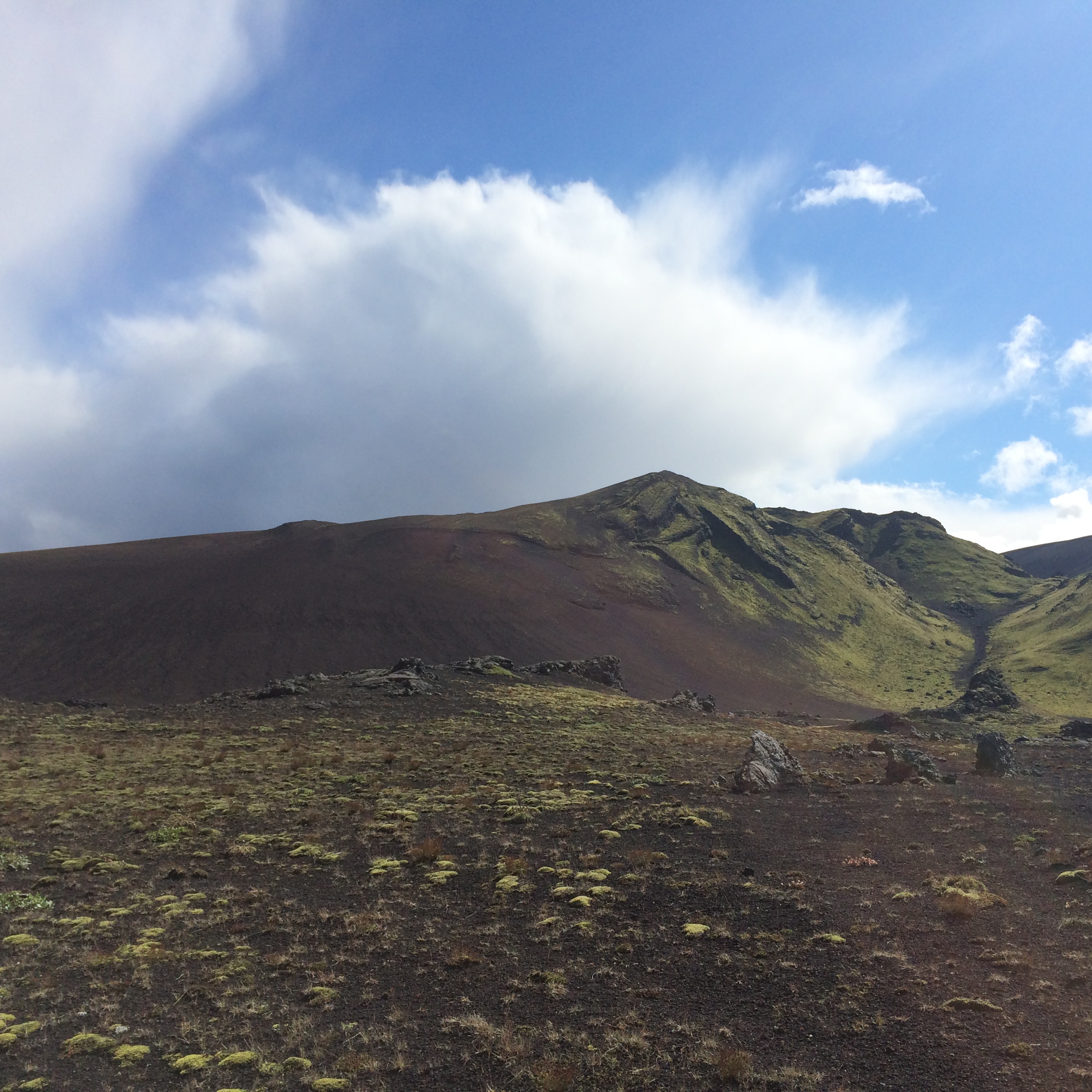A photo of the Icelandic highlands along Landmannaleið near Sauðleysuvatn