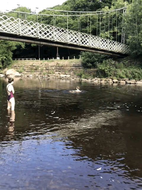 Swimming in River Wharfe in summer