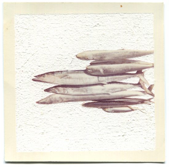 Fish in an altered found photograph