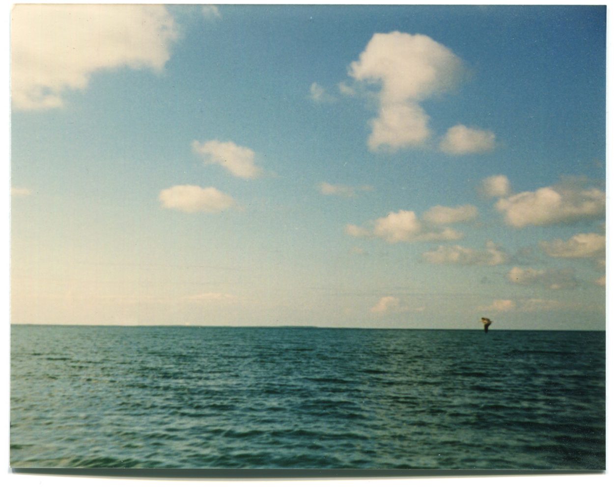 Photo of blue ocean and sky with object on horizon line