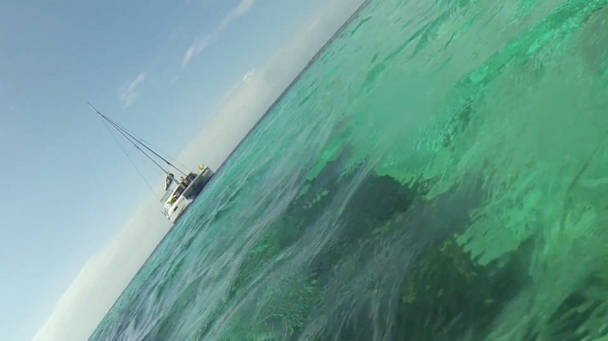 A sharply tilted horizon with a boat and blue sky over turquoise water in Belize