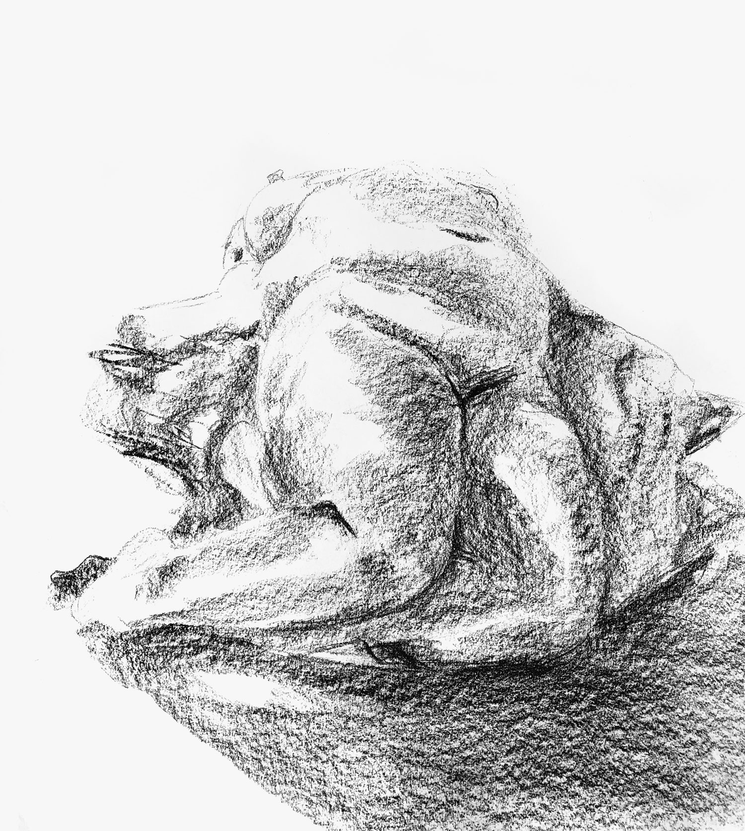 20 minute life drawing