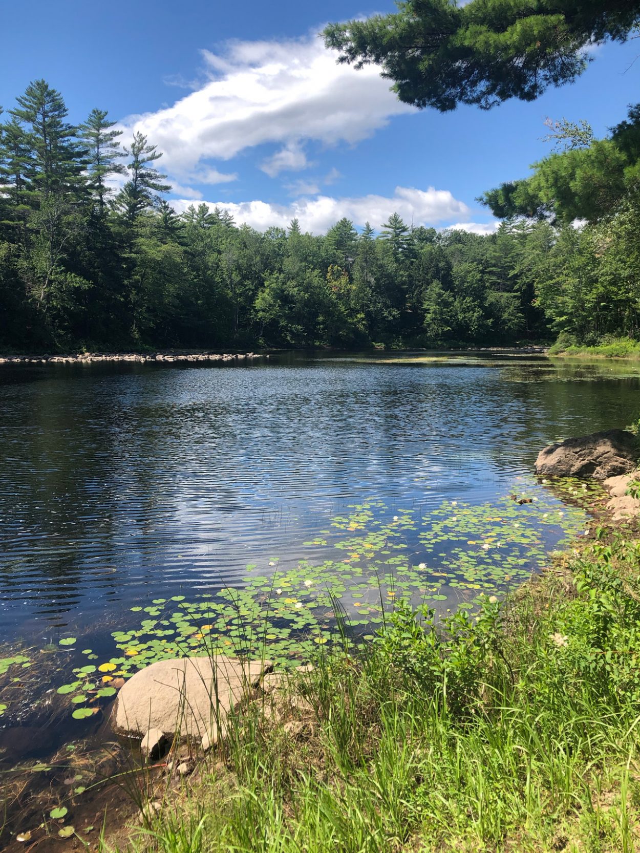 Night and day on the Ossipee River — Piper Haywood