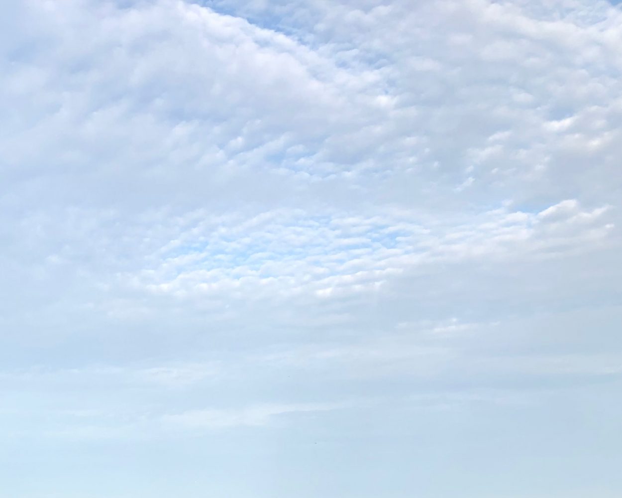 Cirrocumulus clouds against a blue sky