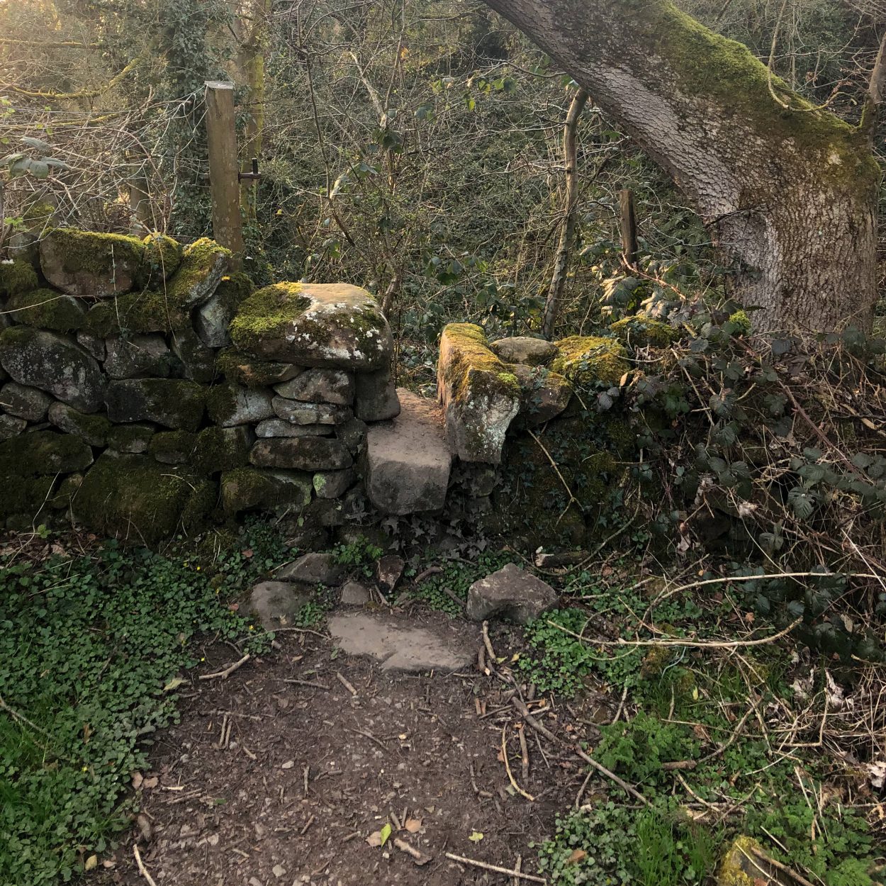 A stone stile covered in moss in Addingham, West Yorkshire