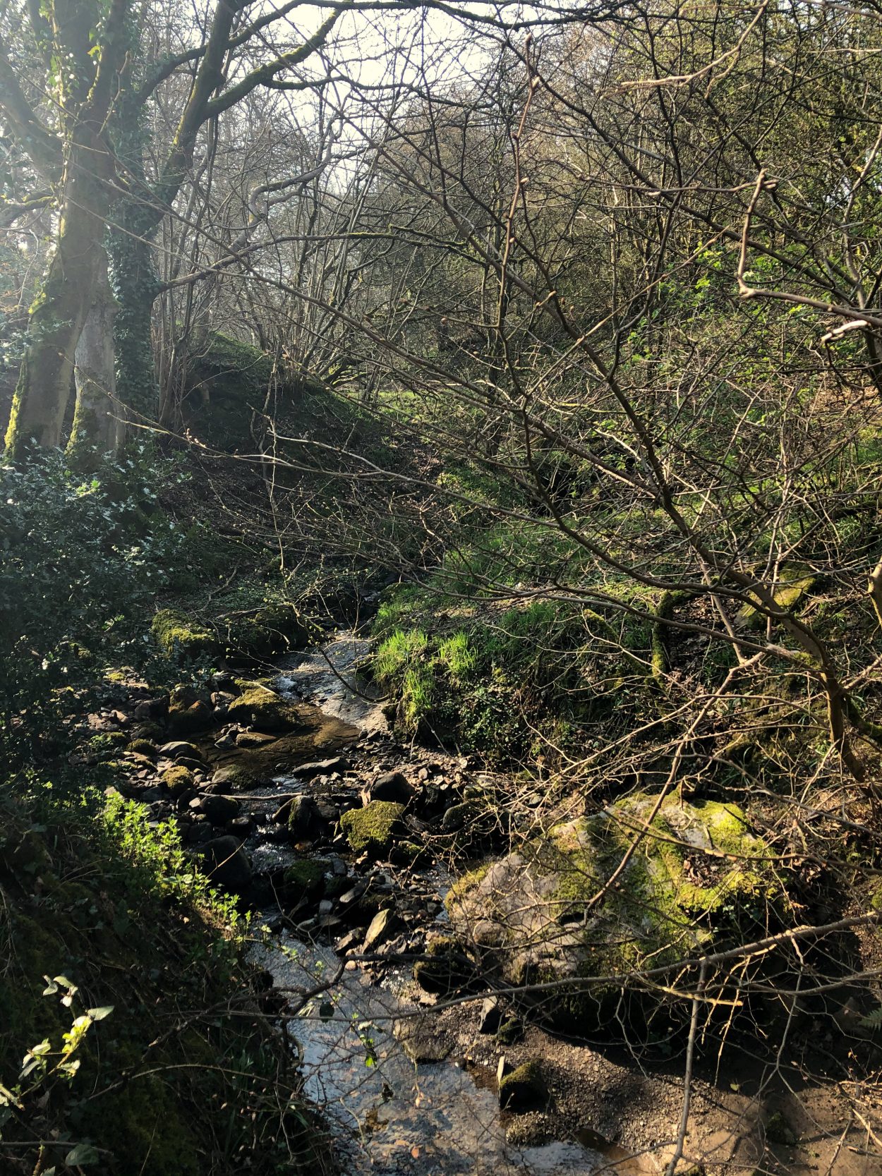 Small stream in Addingham, West Yorkshire