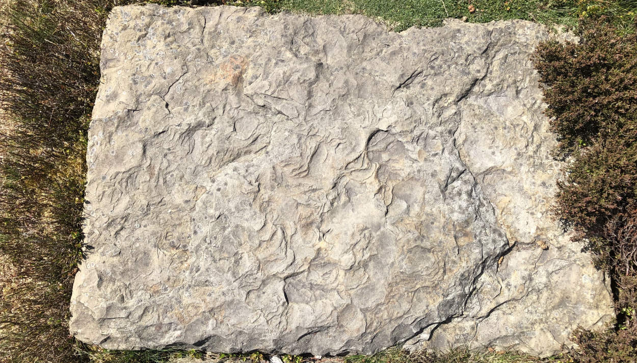 Birds-eye view of a sun-drenched flagstone on Ilkley Moor