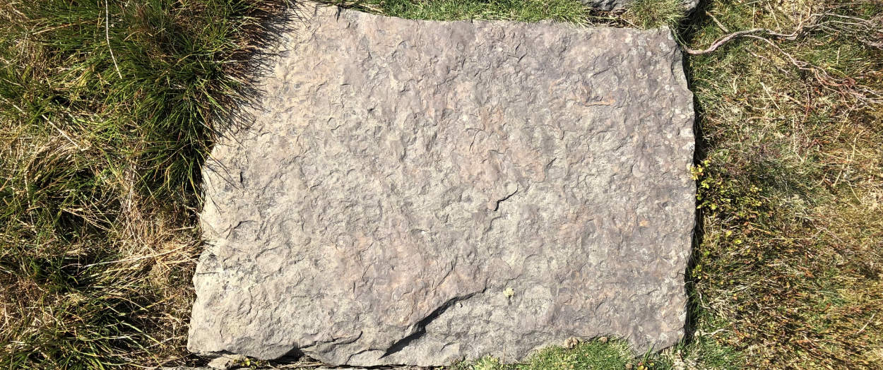 Birds-eye view of a sun-drenched flagstone on Ilkley Moor