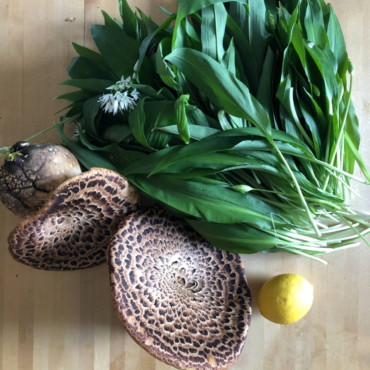 Wild garlic and Dryad’s Saddle mushrooms with a lemon for scale