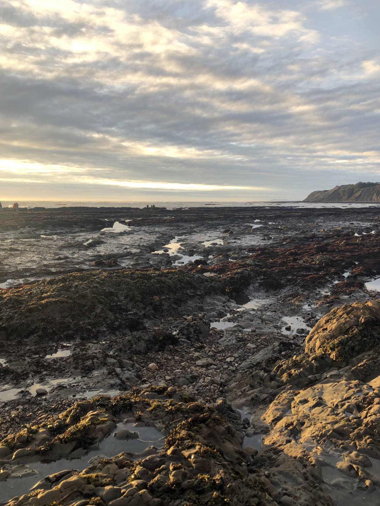 Photo of Agate Beach near Bolinas during the Golden Hour with clouds in the sky