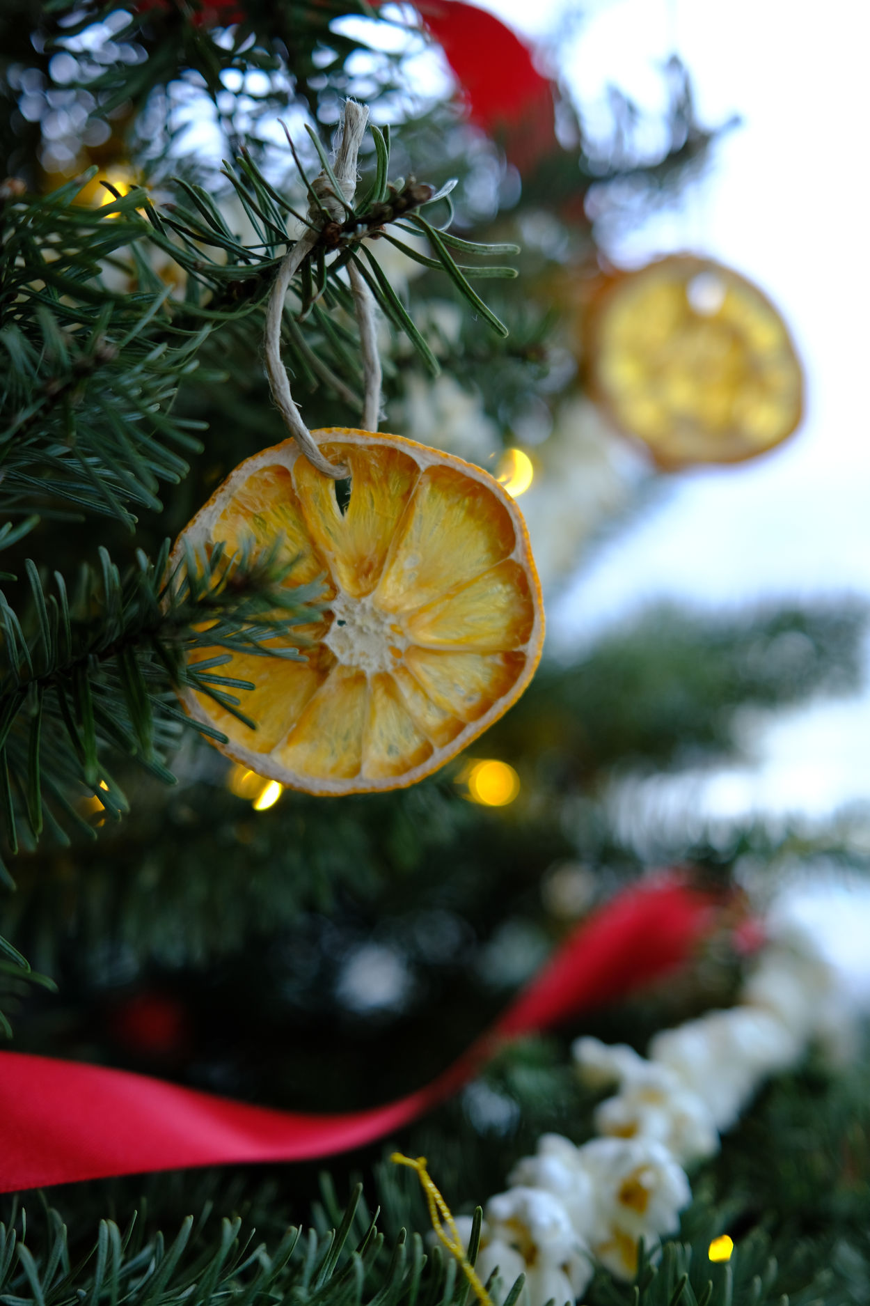 Dried orange ornaments on a Christmas tree