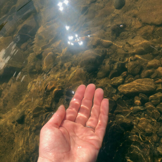 A hand cupping some water from a stream