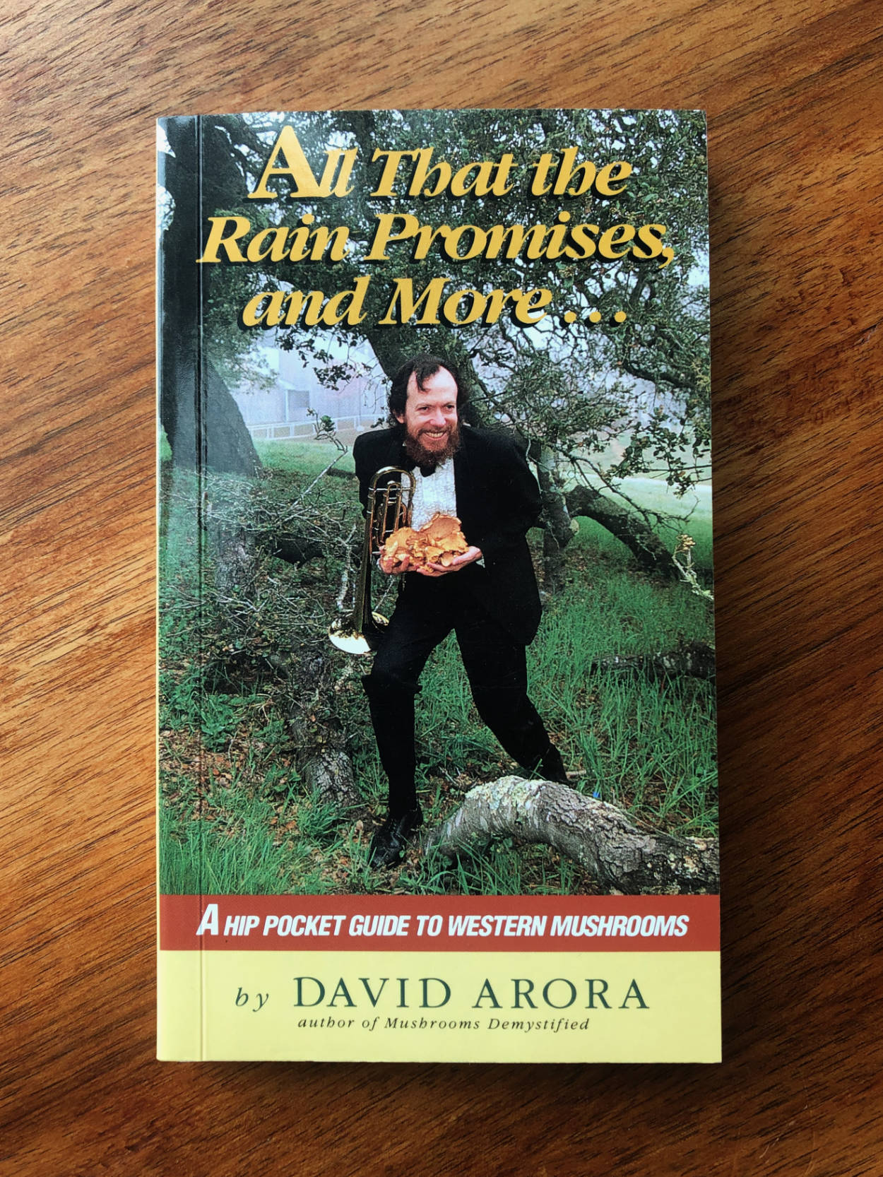 Cover of the book “All That the Rain Promises and More...”