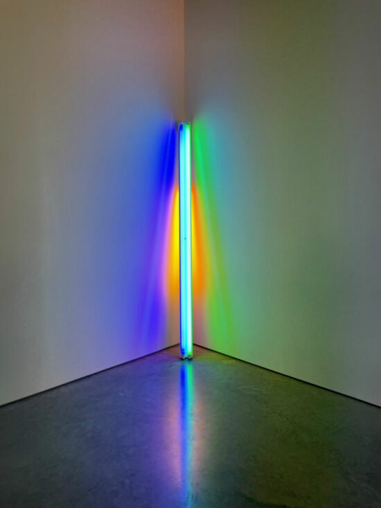 Fluorescent artwork “untitled (to the real Dan Hill) 1b” by Dan Flavin at Dia Beacon