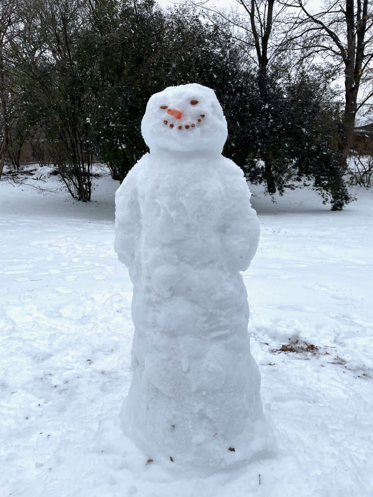 Tall snowman with almonds for a mouth and eyes, and a carrot nose